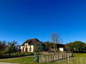 Blick Neukoog